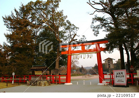 上賀茂神社 上賀茂神社 22109517