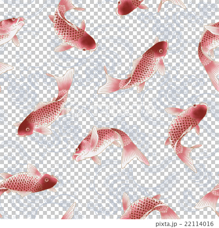 日式鯉魚圖案, 日式鯉魚圖案, 22114016