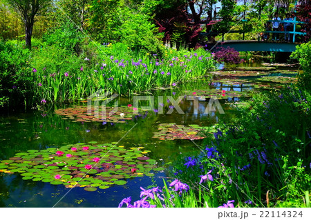 睡蓮の花咲くモネの庭 22114324