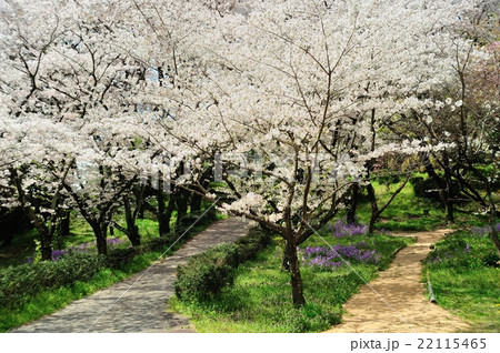 名古屋農業センター 22115465