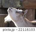 明日があるさ 22116103