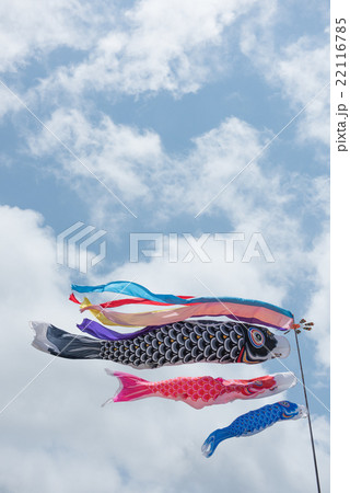 鯉のぼり 22116785