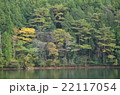 湖畔の紅葉 22117054