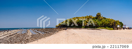 青島_宮崎県宮崎市 22117069