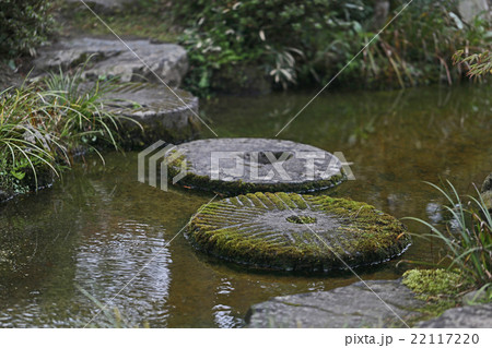 庭の池の飛び石 22117220