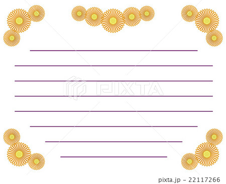 紐菊横向き横罫線入り 22117266