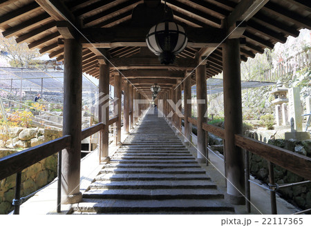 西国霊場第八番札所、長谷寺「下登廊」 西国霊場第八番札所、長谷寺「下登廊」 22117365