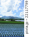 八ヶ岳 八ヶ岳 22117799