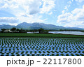 八ヶ岳 八ヶ岳 22117800
