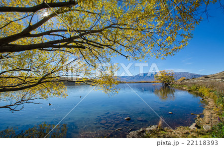 Lake McGregor,Canterbury Region, New Zealand 22118393