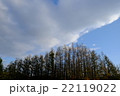 雲と木々の接するところ 22119022