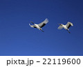 一緒に飛び立とう 22119600
