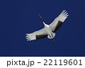 おおぞらへ 22119601