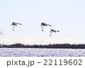 帰還 22119602