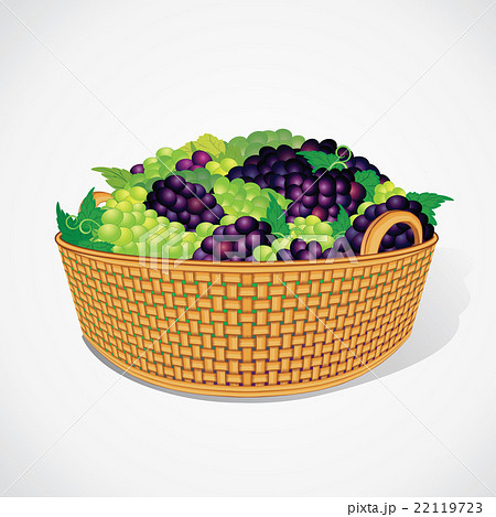 Ripe Sweet Grapes in Woven Basket. Vector Ripe Sweet Grapes in Woven Basket. Vector 22119723