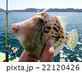 カワハギ釣り 22120426