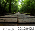 荒川登山道トロッコ道 22120428