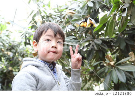 びわ狩りを楽しむ子ども びわ狩りを楽しむ子ども 22121380