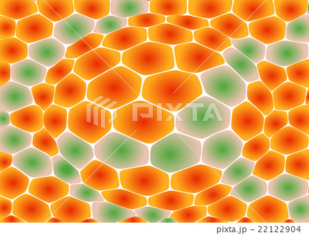 Snake Skin Pattern Snake Skin Pattern 22122904