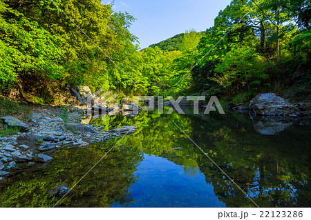 嵐山渓谷の新緑 嵐山渓谷の新緑 22123286