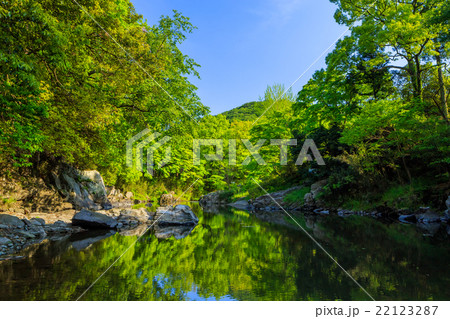 嵐山渓谷の新緑 嵐山渓谷の新緑 22123287