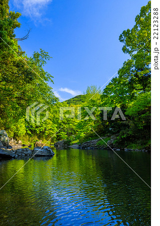 嵐山渓谷の新緑 22123288