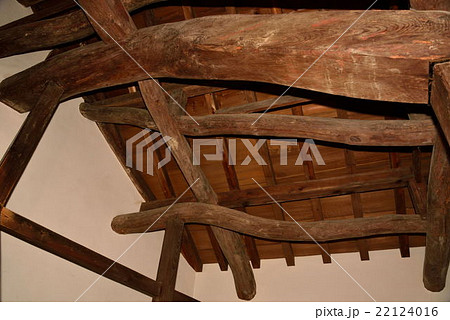 彦根城 彦根城 22124016