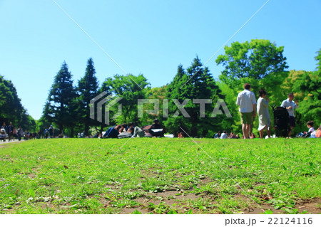 代々木公園の緑地でピクニックをする人々の画像 代々木公園の緑地でピクニックをする人々の画像 22124116