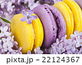 Traditional french macaroons 22124367