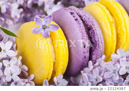 Traditional french macaroons 22124367
