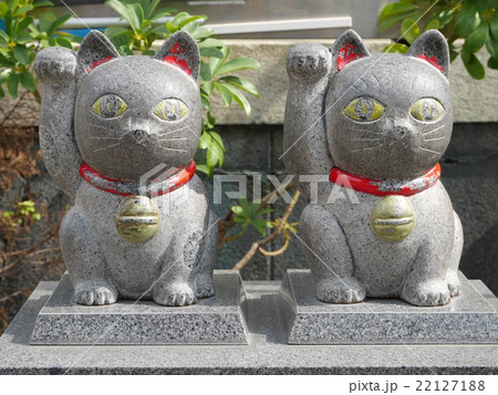 今戸神社の招き猫 22127188