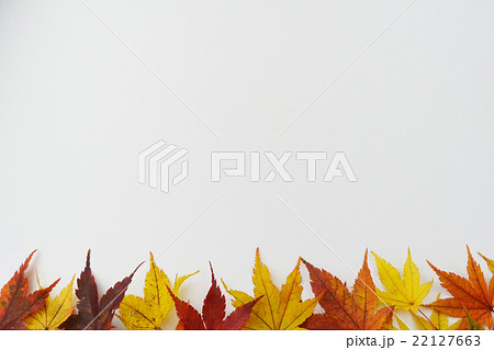 紅葉(もみじ) 紅葉(もみじ) 22127663