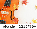 紅葉(もみじ)とバイオリン 紅葉(もみじ)とバイオリン 22127690