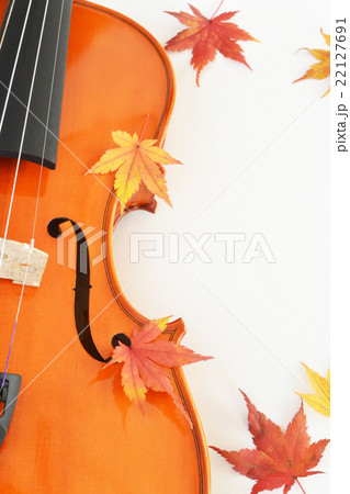 紅葉(もみじ)とバイオリン 紅葉(もみじ)とバイオリン 22127691