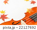 紅葉(もみじ)とバイオリン 紅葉(もみじ)とバイオリン 22127692