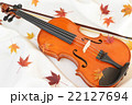 紅葉(もみじ)とバイオリン 紅葉(もみじ)とバイオリン 22127694