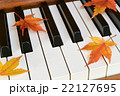 紅葉(もみじ)とピアノ 紅葉(もみじ)とピアノ 22127695