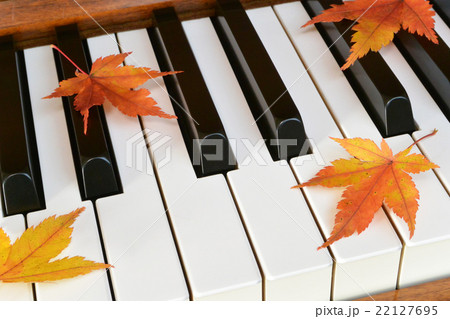 紅葉（もみじ）とピアノ 22127695