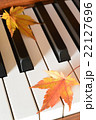 紅葉(もみじ)とピアノ 紅葉(もみじ)とピアノ 22127696