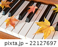 紅葉(もみじ)とピアノ 紅葉(もみじ)とピアノ 22127697