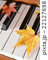 紅葉(もみじ)とピアノ 紅葉(もみじ)とピアノ 22127698