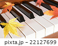 紅葉(もみじ)とピアノ 紅葉(もみじ)とピアノ 22127699