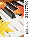 紅葉(もみじ)とピアノ 紅葉(もみじ)とピアノ 22127700