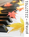 紅葉(もみじ)とピアノ 紅葉(もみじ)とピアノ 22127701