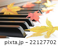 紅葉(もみじ)とピアノ 紅葉(もみじ)とピアノ 22127702