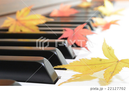 紅葉(もみじ)とピアノ 紅葉(もみじ)とピアノ 22127702