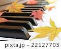 紅葉(もみじ)とピアノ 紅葉(もみじ)とピアノ 22127703