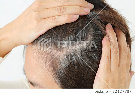 ミドル女性 白髪 ミドル女性 白髪 22127787