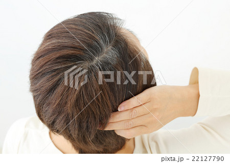 ミドル女性 白髪 ミドル女性 白髪 22127790