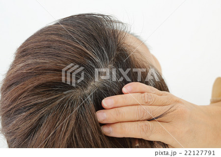 ミドル女性 白髪 ミドル女性 白髪 22127791
